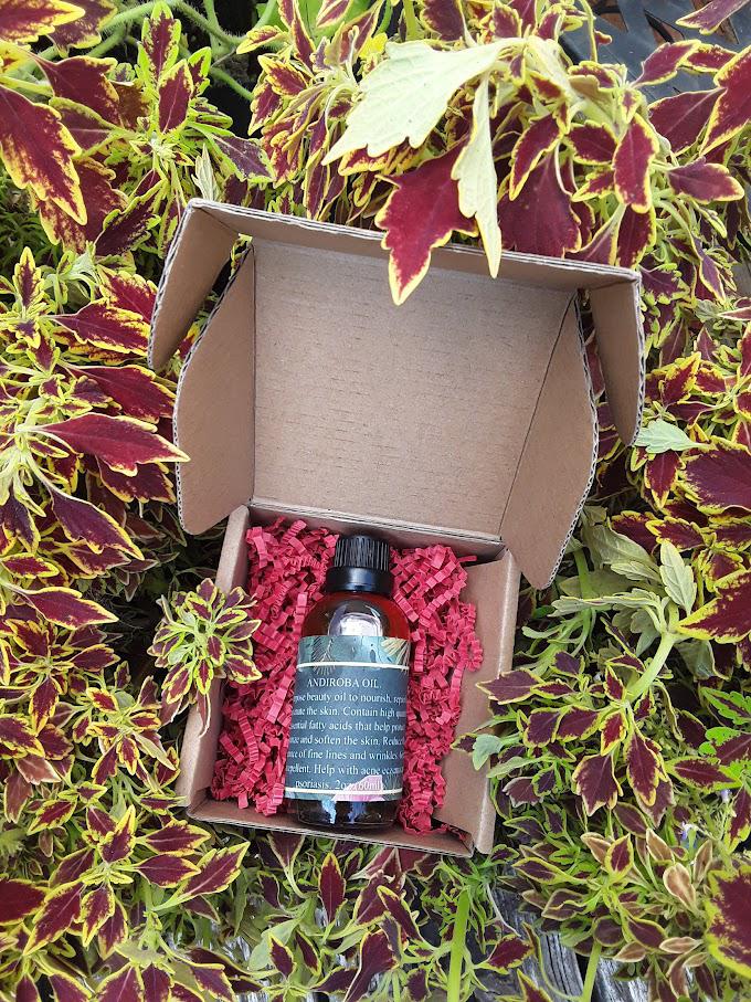 Andiroba Oil, The Miracle and Number One Medicinal Oil.