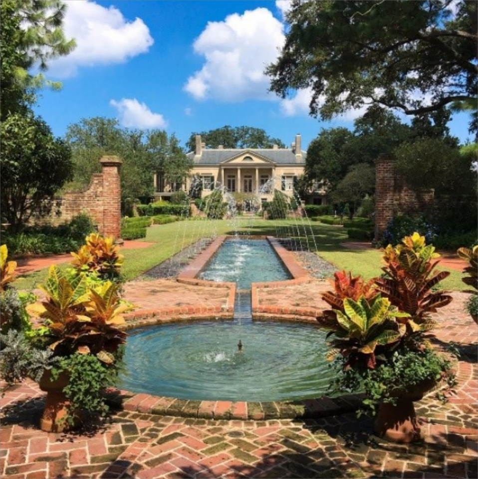 Lush Residential Gardens 