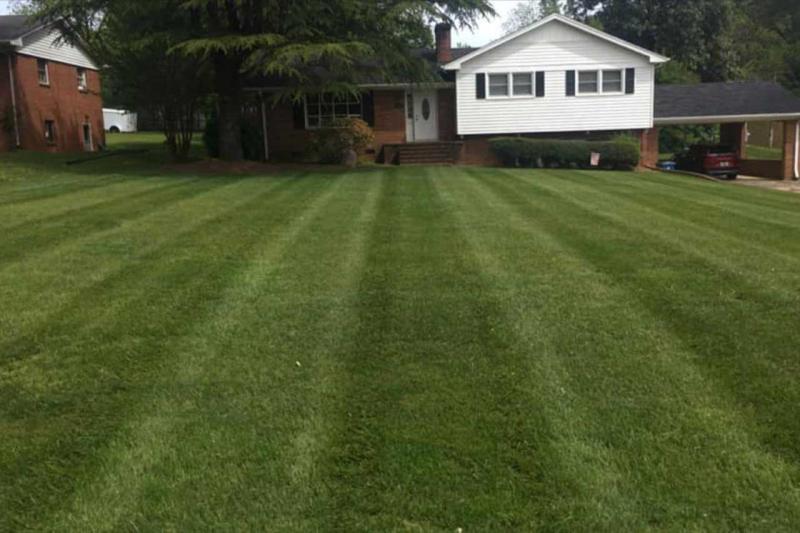 Lawn Mowing