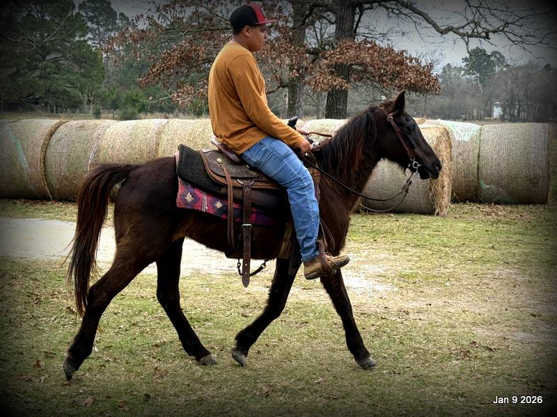 🩷❤️Pixie🩷❤️