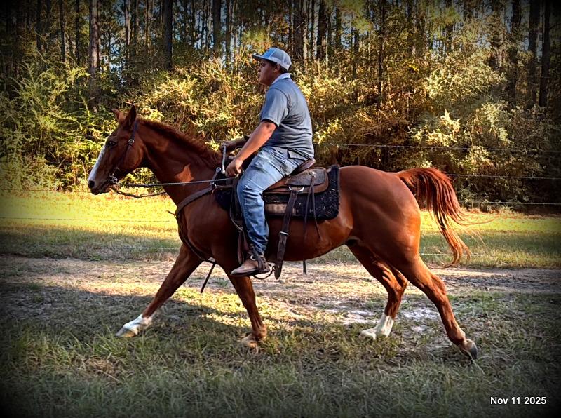 💚Ranger Safe for All Ages💚