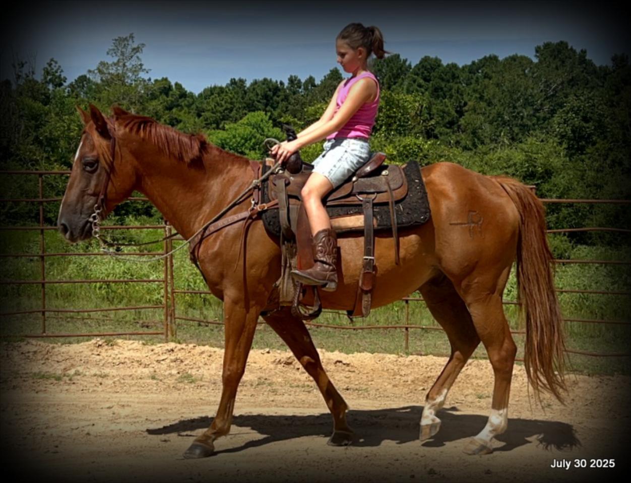 Smart Little Buzz AKA hawk