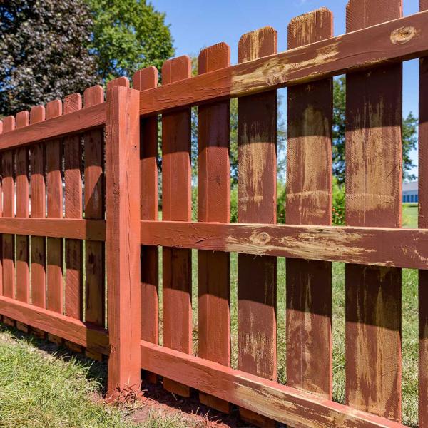 Fence Painting&nbsp;