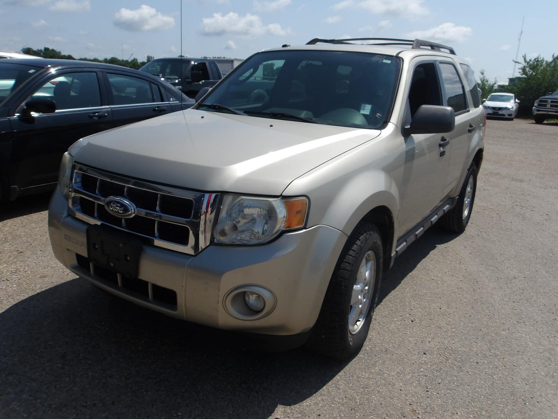 AC4 - 2010 Ford Escape XLT