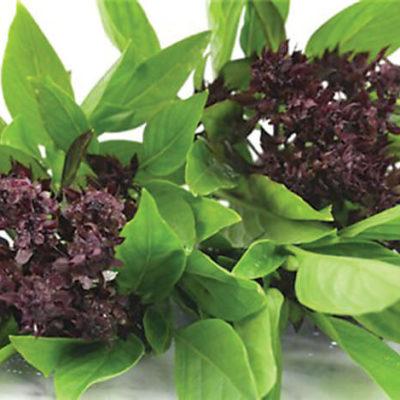 Basil - Stir-Fry Thai™