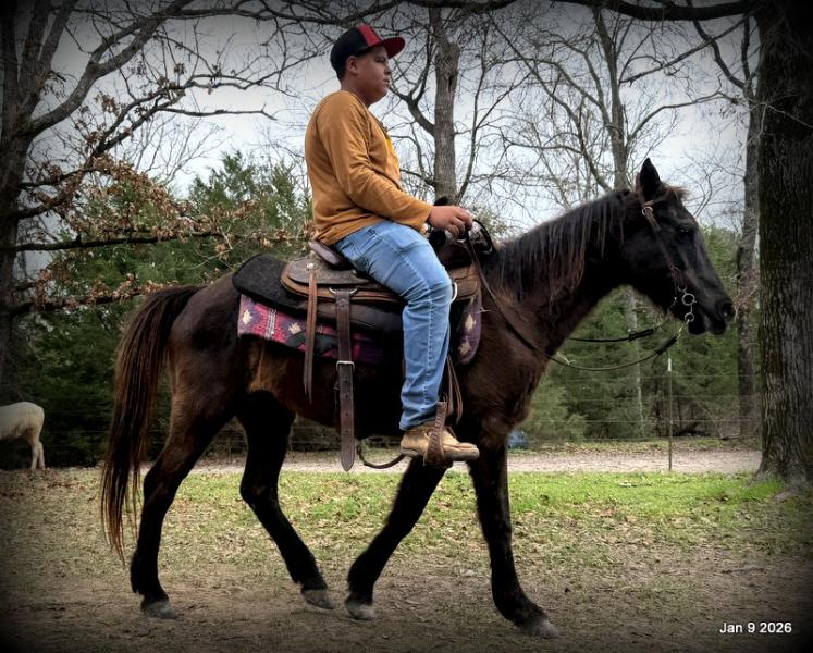 🩷❤️Pixie🩷❤️