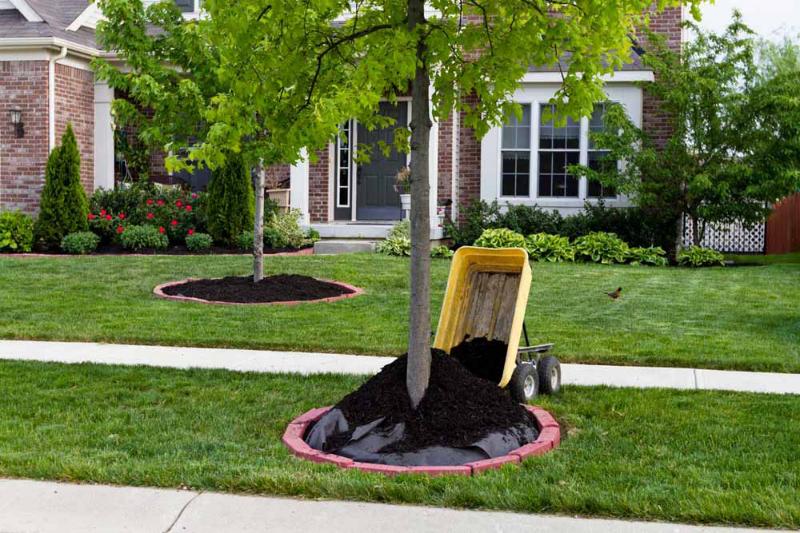 Mulch and Decorative Stone Installation