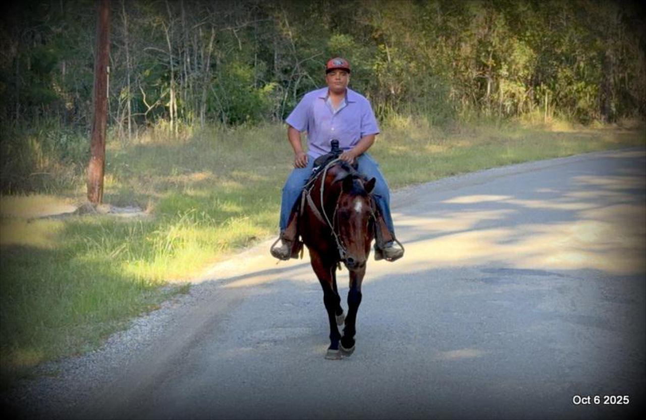 🌟 Meet Brownie – Your All-Around Ranch and Trail Partner 🌟