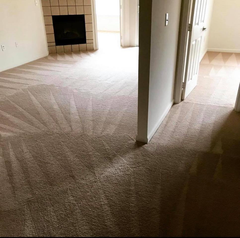 Carpet Cleaning