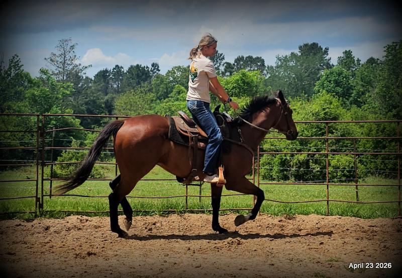 Darylslitlediablo (Diablo)