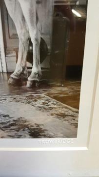 TROWBRIDGE PONY PAINTER RETIRED LTD EDITION 123/29