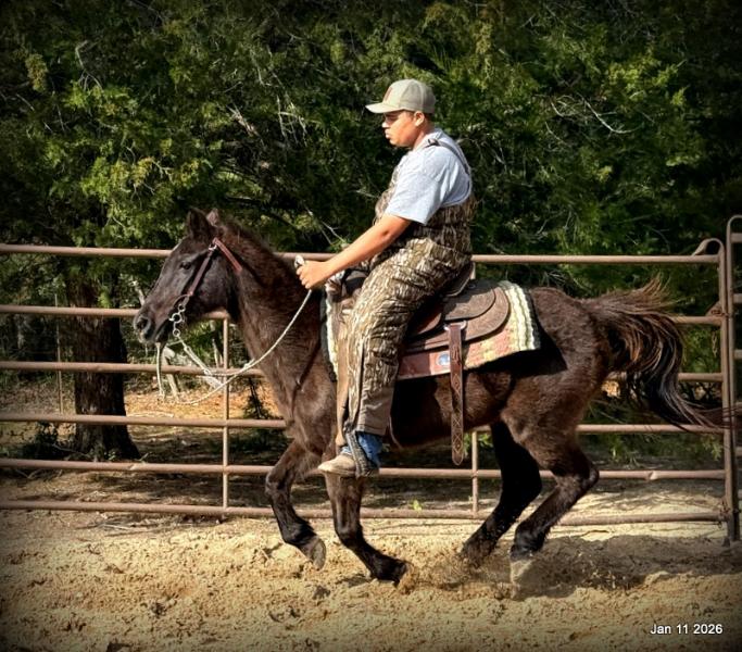 🩷❤️Pixie🩷❤️