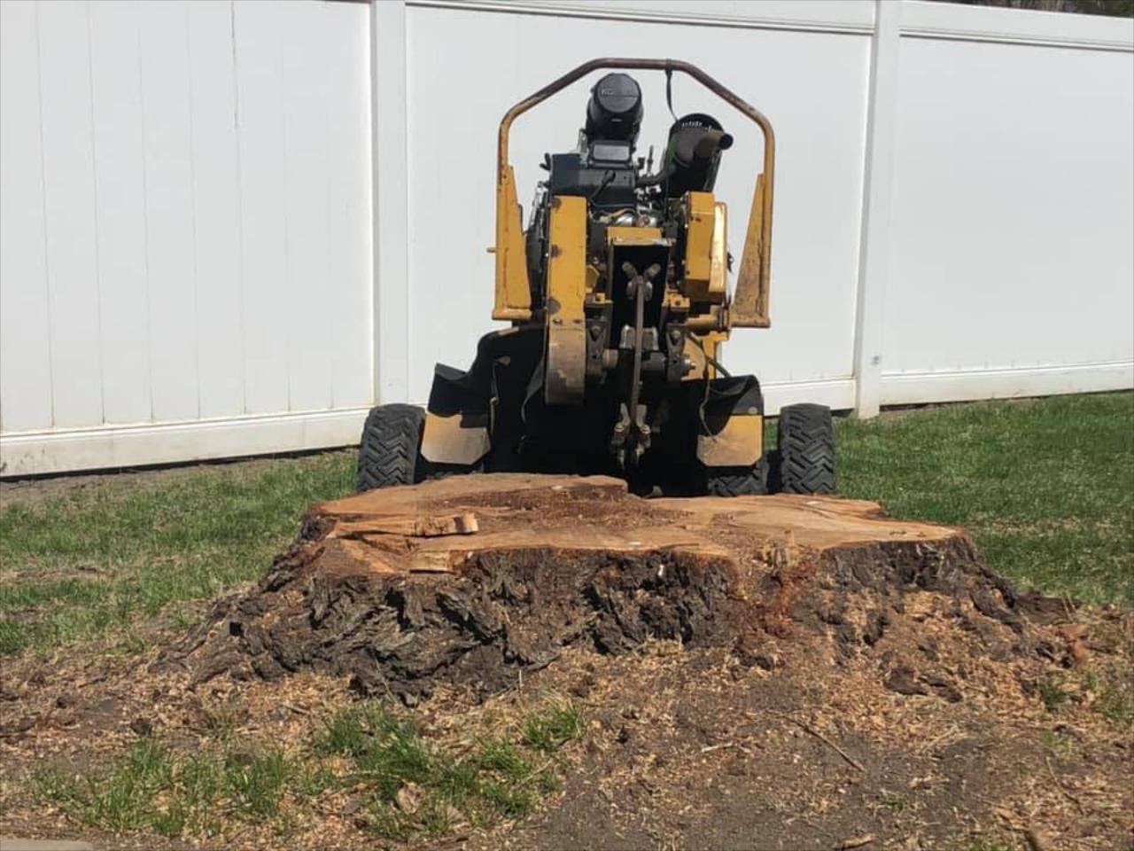 Stump Grinding 