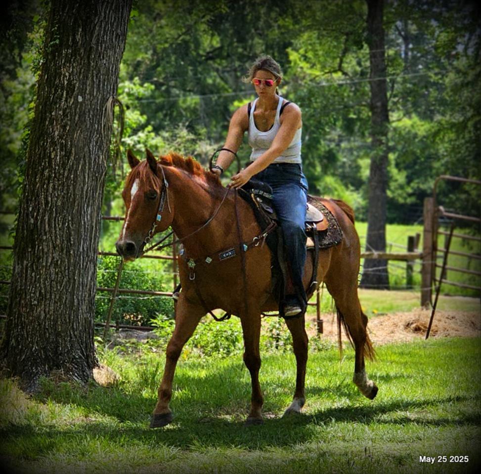 Smart Little Buzz AKA hawk