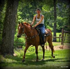 Smart Little Buzz AKA hawk