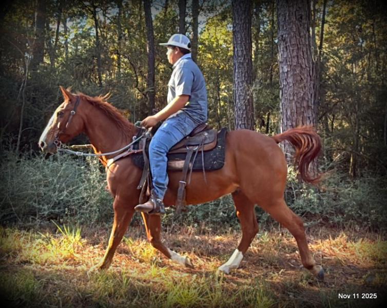 💚Ranger Safe for All Ages💚