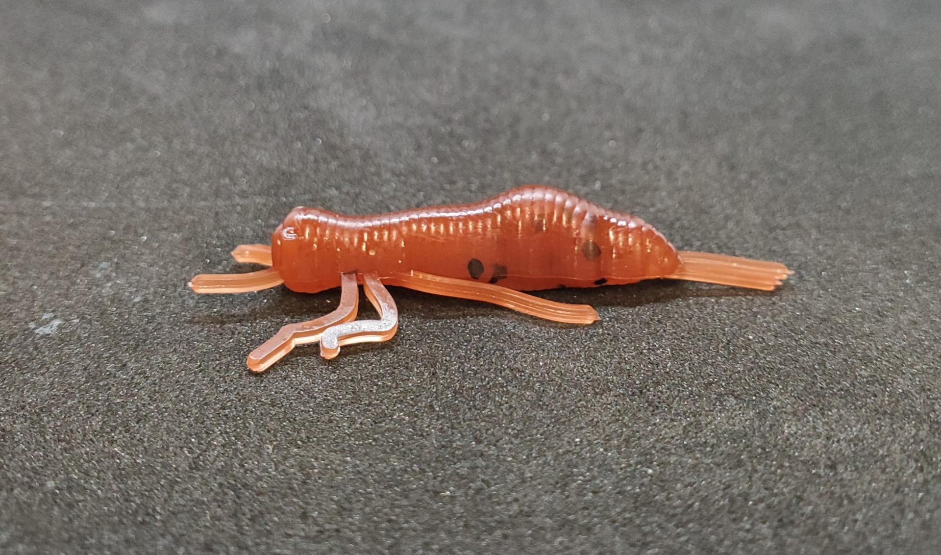 2" Crickets