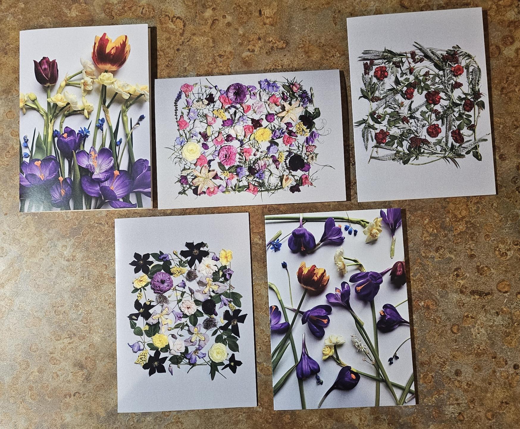 Flower Photo Cards, set of 10