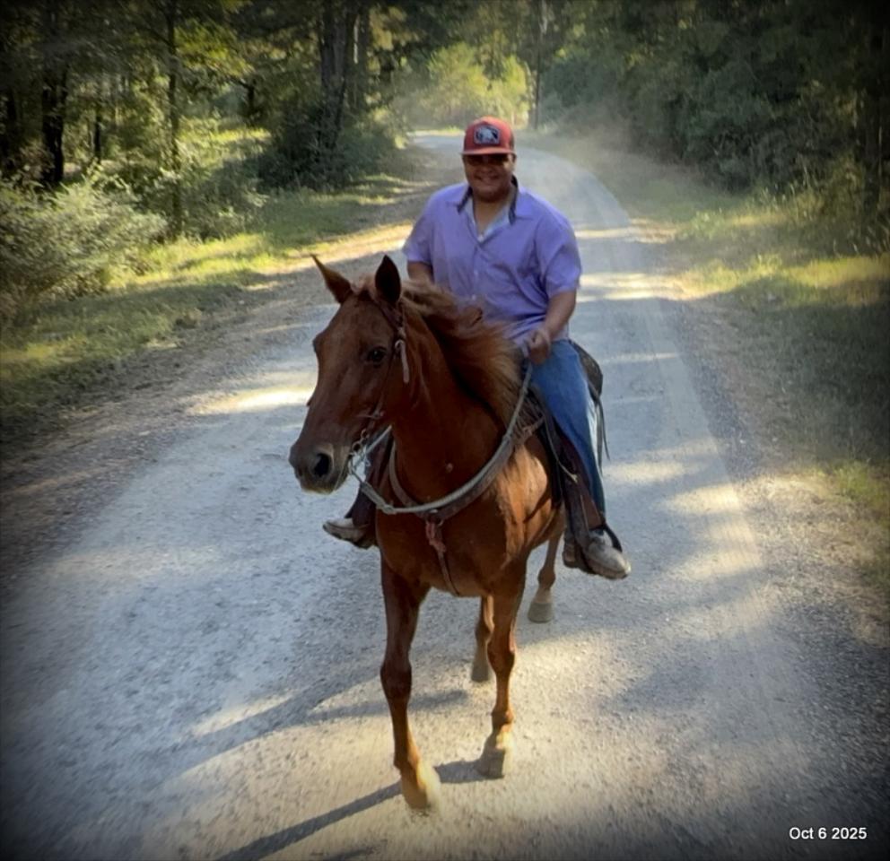 🌹 Meet Missouri – The Mare That Makes Every Ride Feel Like Home 🌹