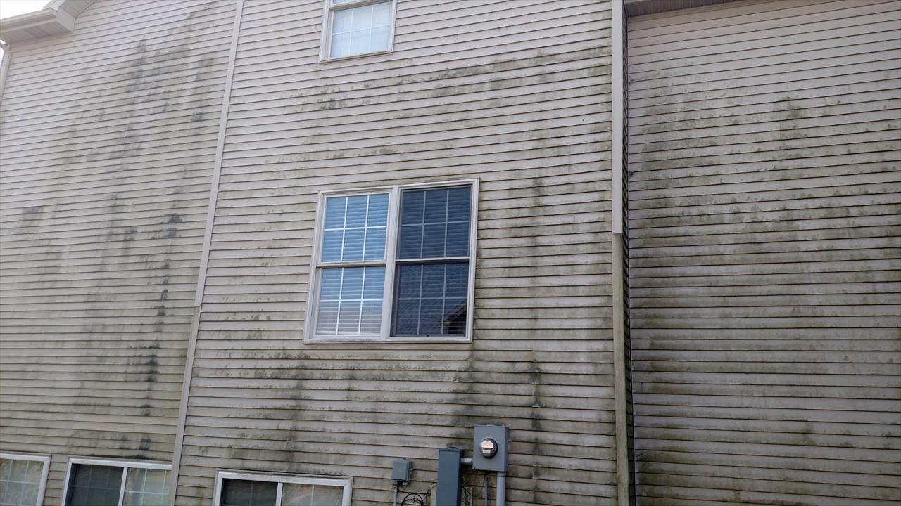 Pressure Washing In Champaign House Washing Roof Cleaning
