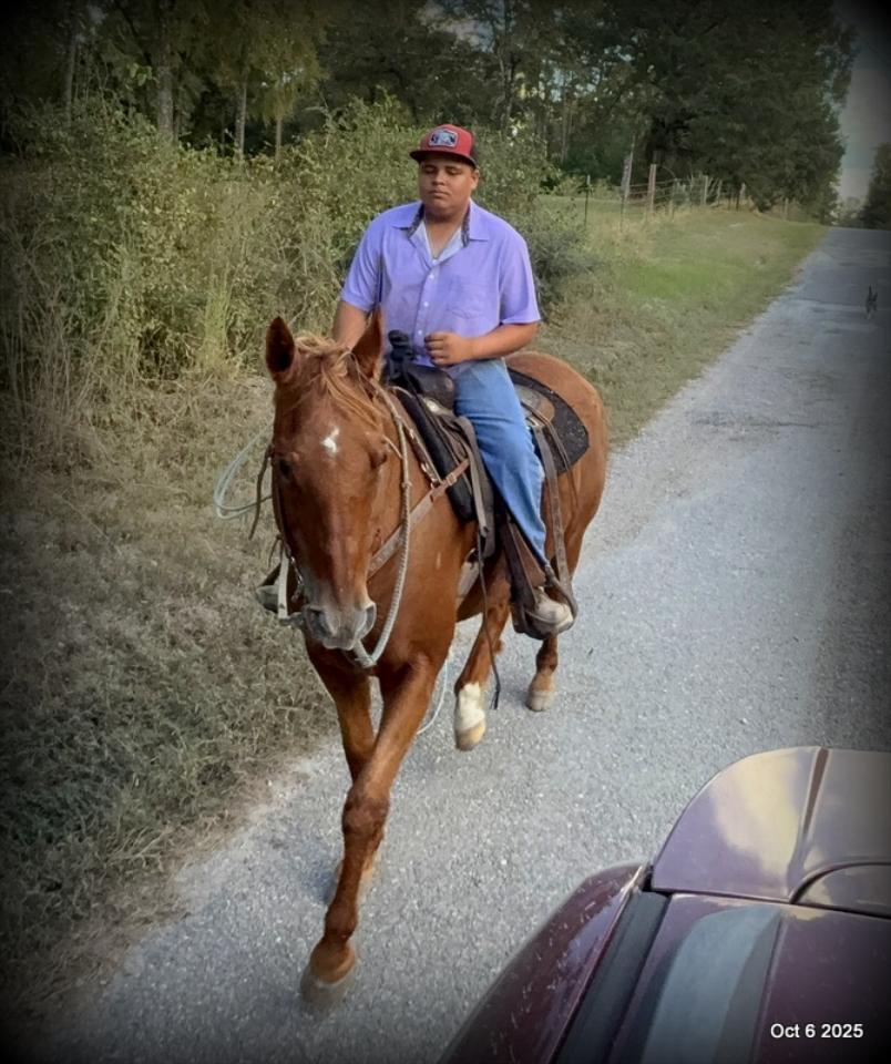 Biggie – Ranch-Tested, Family-Safe, and Ready to Ride!