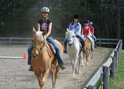 RIDING LESSONS HERE AT A RANCH HORSE