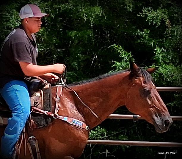 Sammy – A Comeback Story with a Heart of Gold