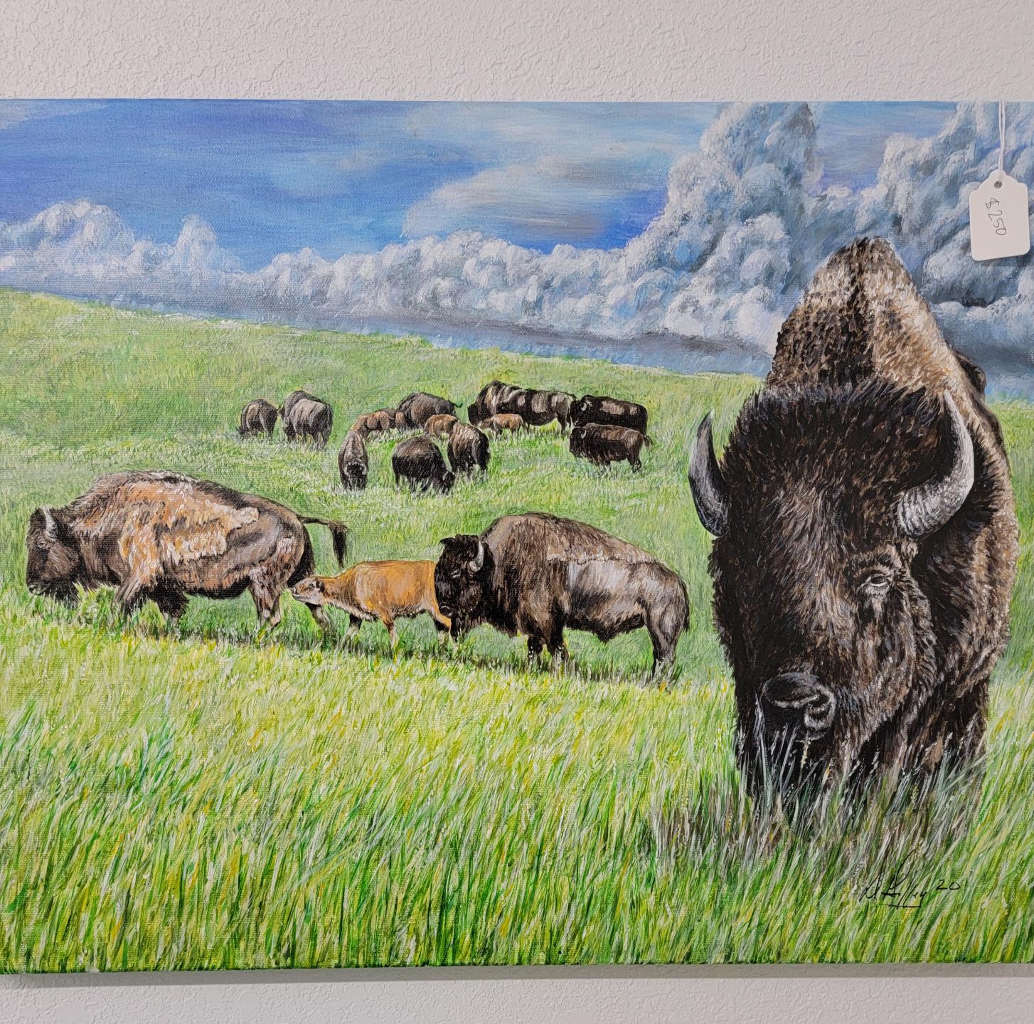 Bison