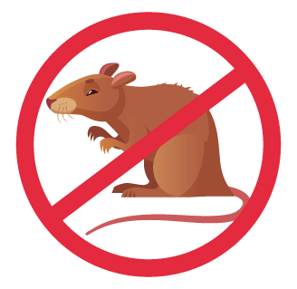 Rodents