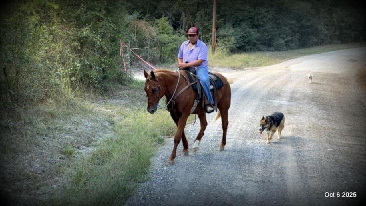Biggie – Ranch-Tested, Family-Safe, and Ready to Ride!