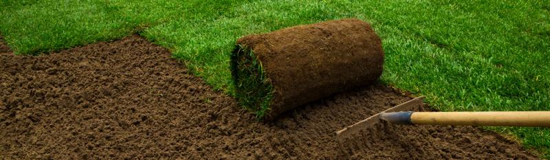 Here Are Five Reasons To Consider Installing A Sod Lawn: