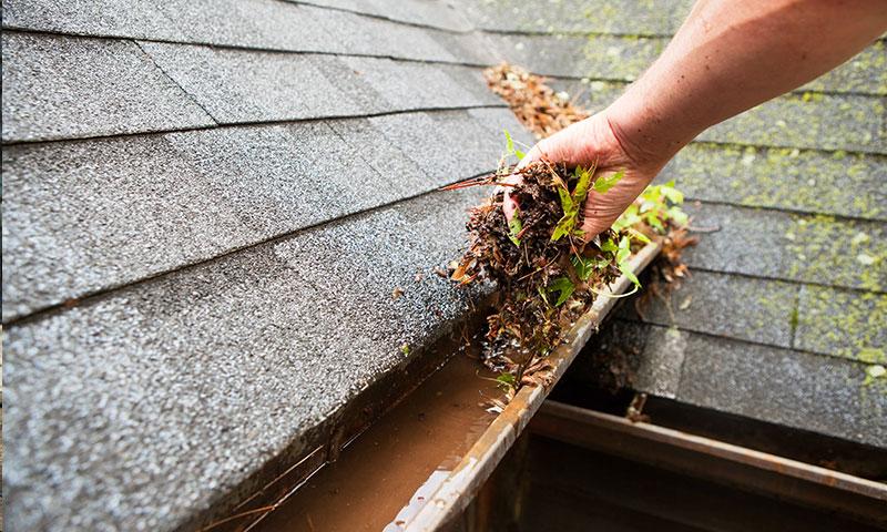 Gutter Cleaning