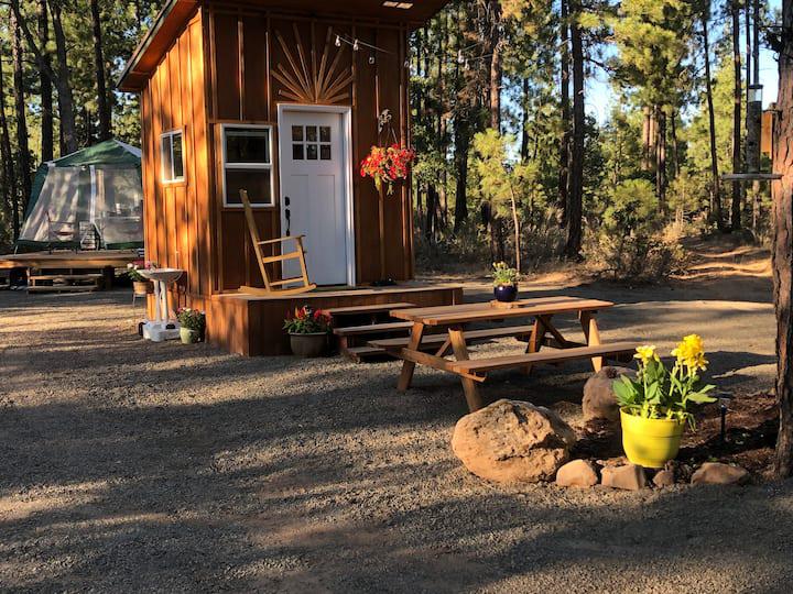 Tiniest Tiny Home In The WoodsStarting at $65 / night