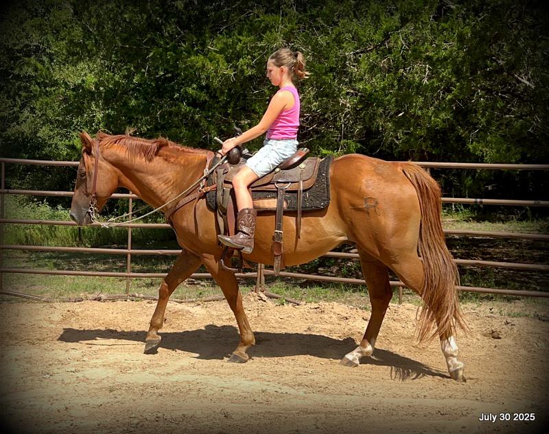 Smart Little Buzz AKA hawk