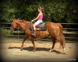 Smart Little Buzz AKA hawk