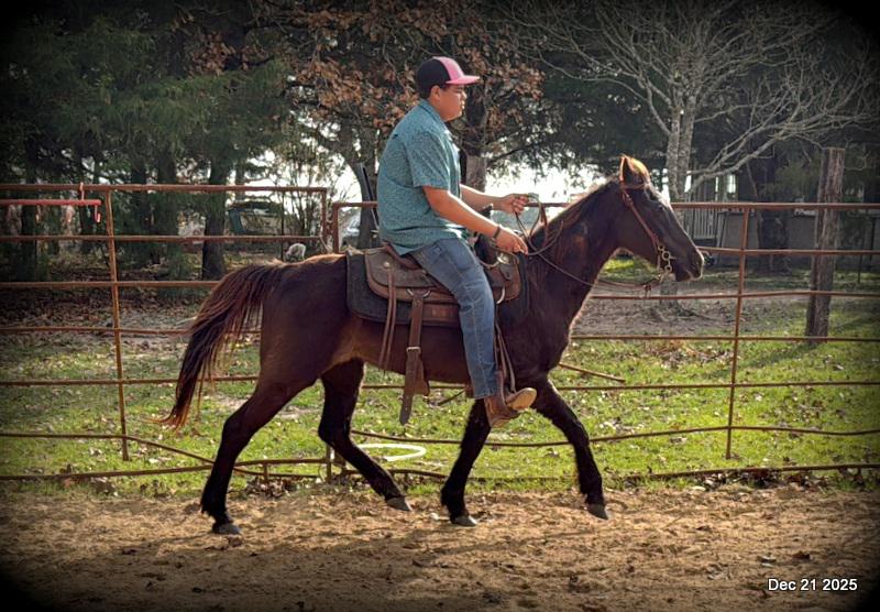 🩷❤️Pixie🩷❤️