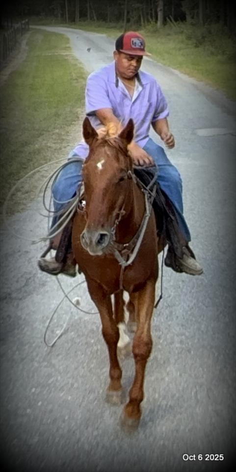 Biggie – Ranch-Tested, Family-Safe, and Ready to Ride!
