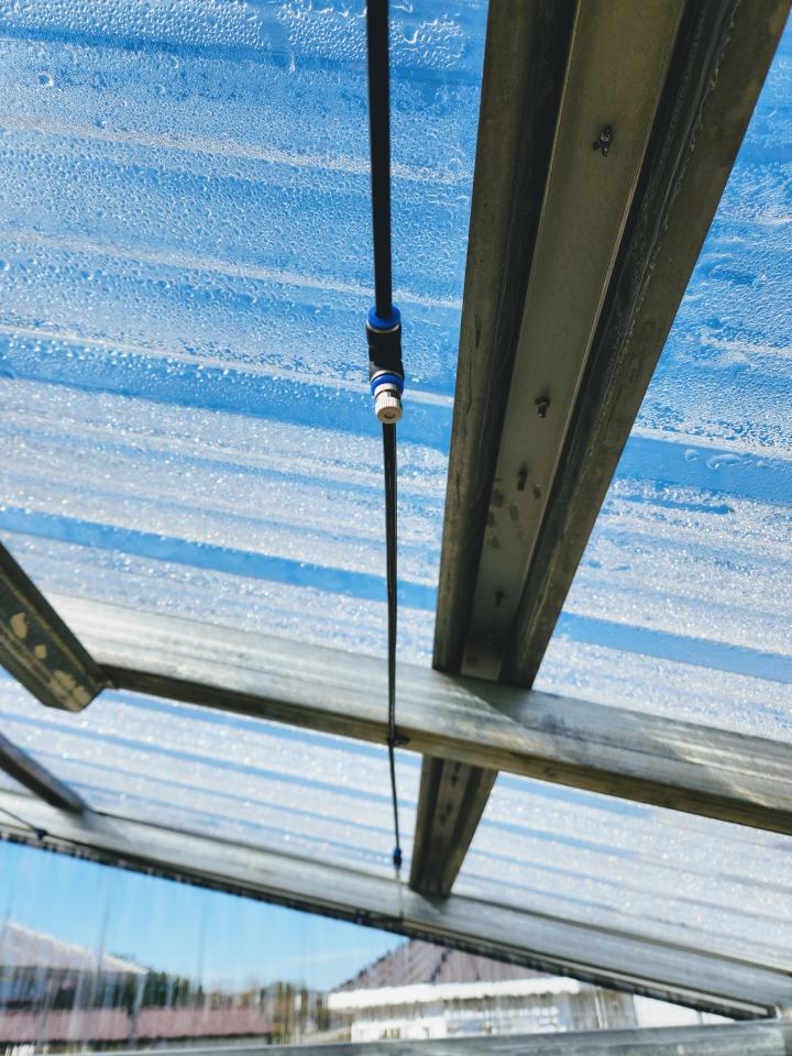 GREENHOUSES!! OPTIONS, FEATURES, AND UPGRAGES!! Extend your gardening season today!