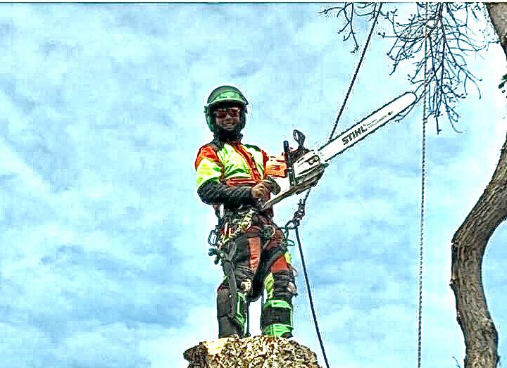Emergency Tree Removal 