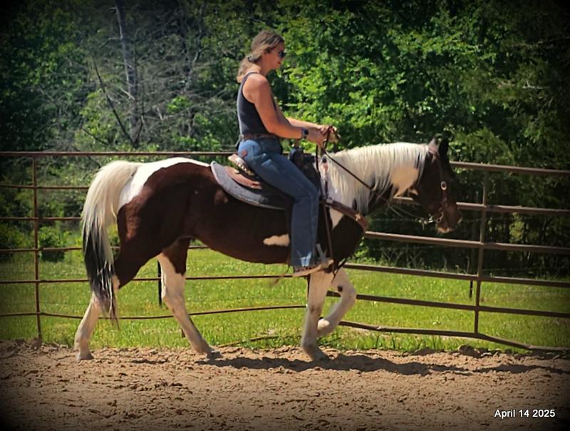 Montana – The Picture-Perfect Partner with All the Right Moves
