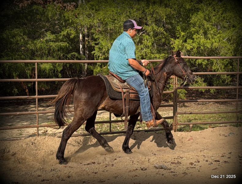 🩷❤️Pixie🩷❤️