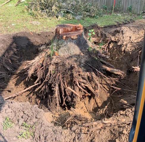 STUMP REMOVAL