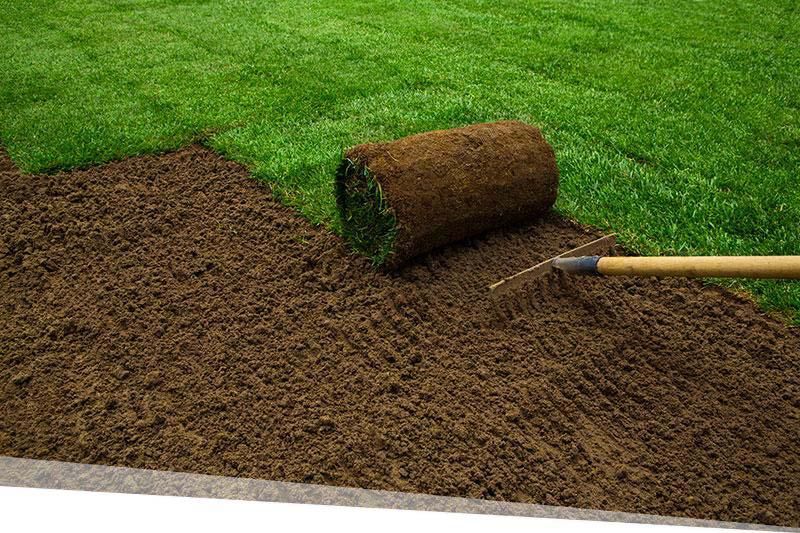 Sod Installation