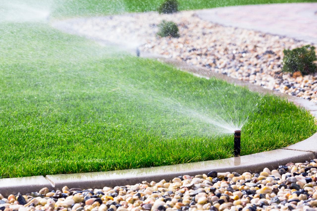 Efficient Irrigation Systems for Arizona Landscapes