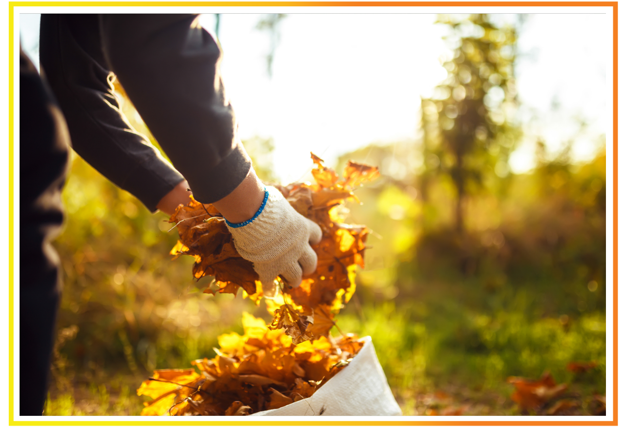 Seasonal Cleanup