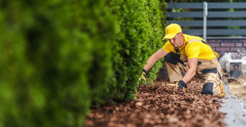 Landscaping