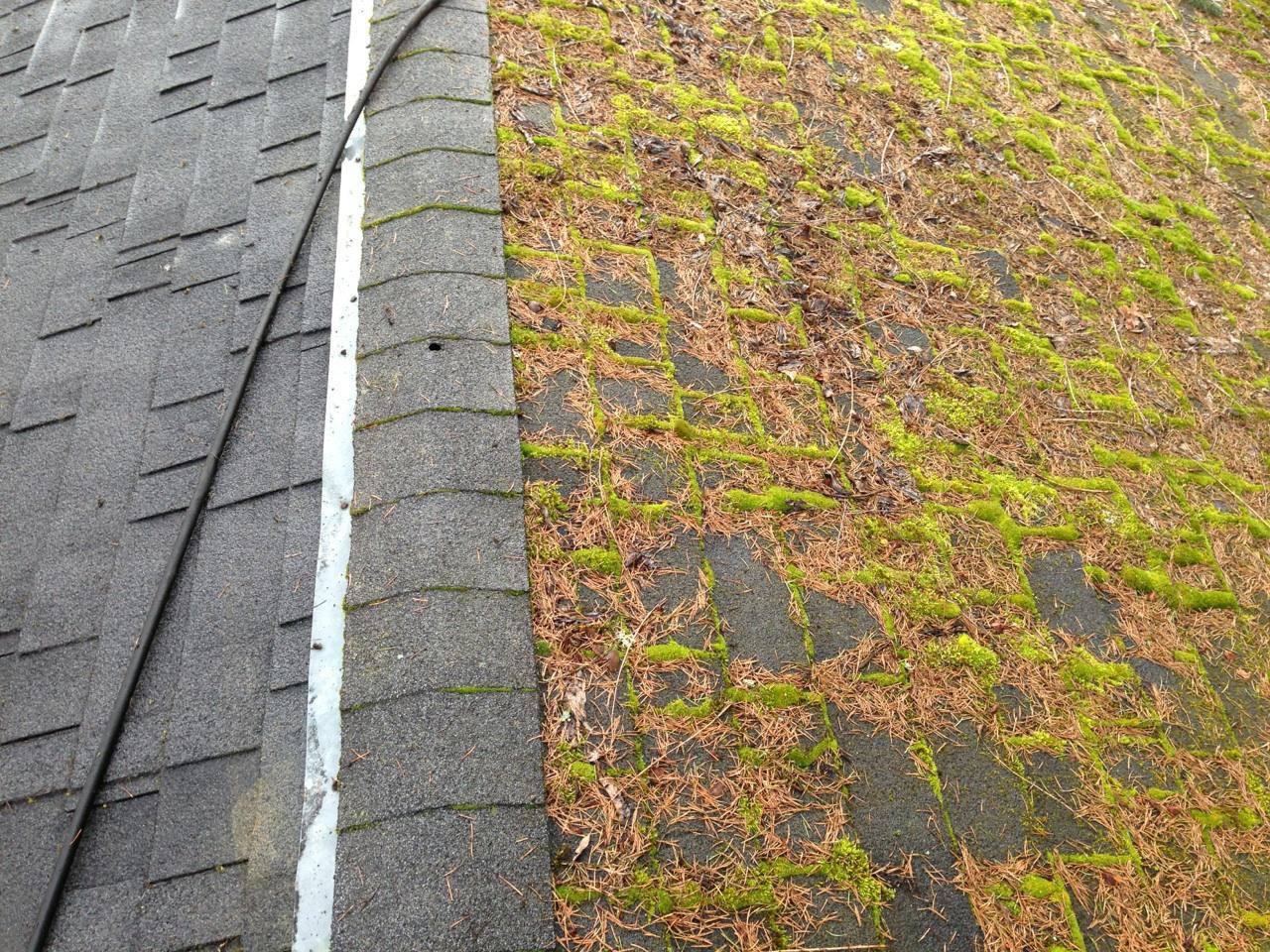 Moss Control &amp; Removal