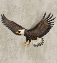 Eagle Decor - Wall Hanging