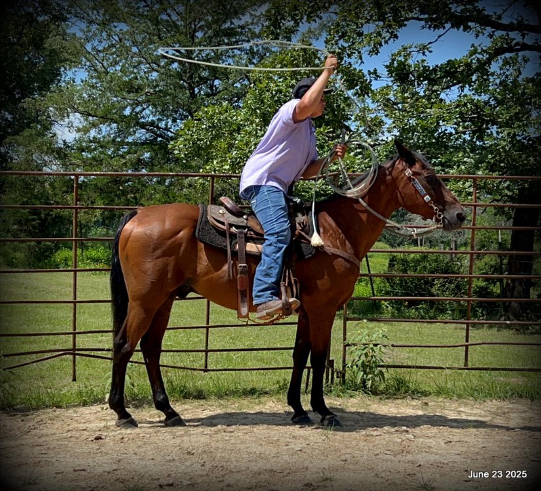 Sammy – A Comeback Story with a Heart of Gold