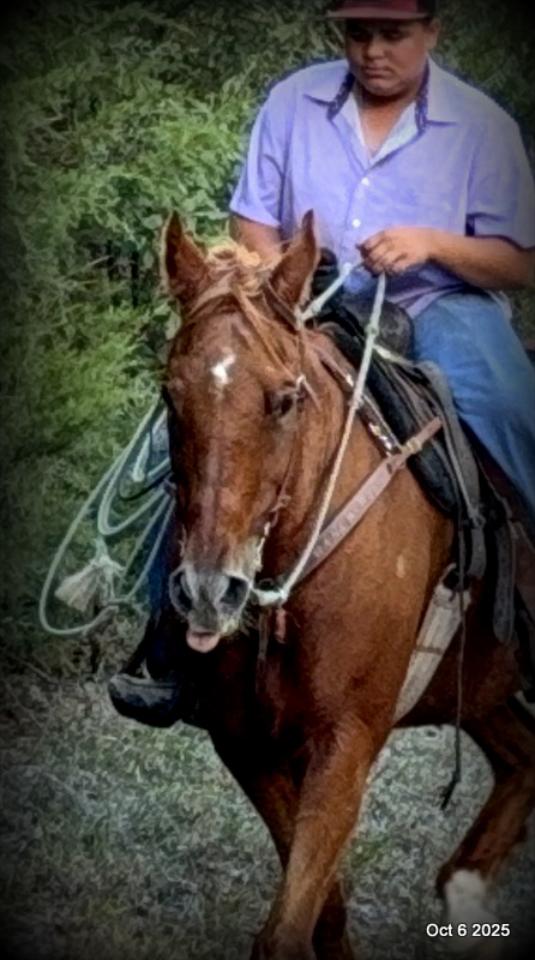 Biggie – Ranch-Tested, Family-Safe, and Ready to Ride!